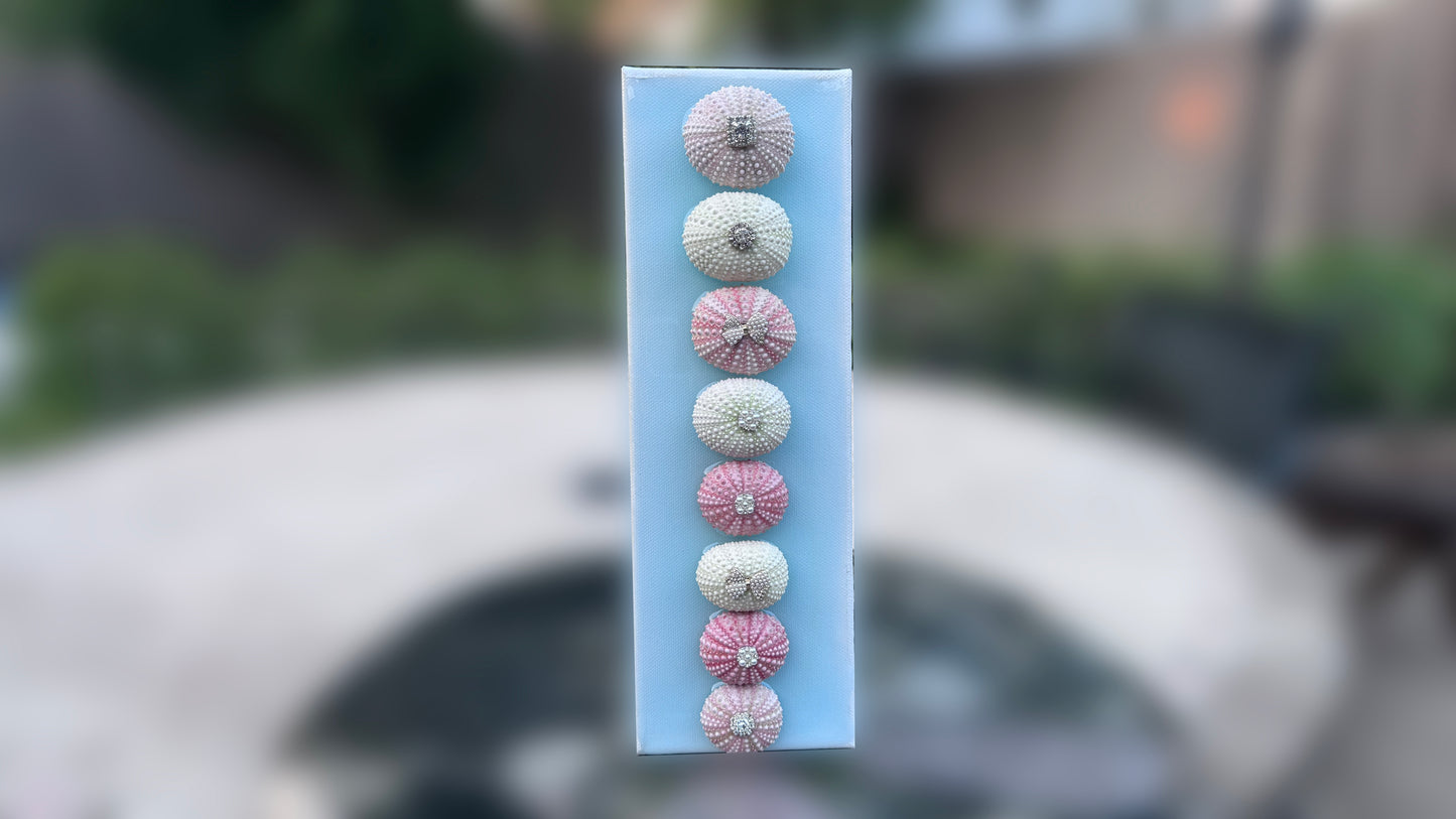 Divine Whispers in Shells