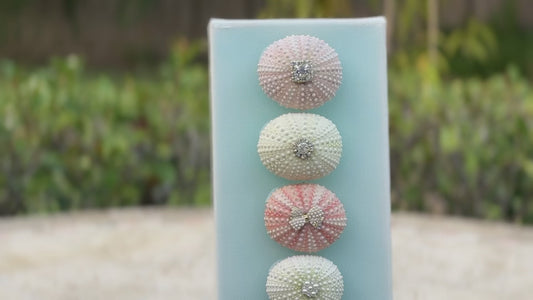 Divine Whispers in Shells